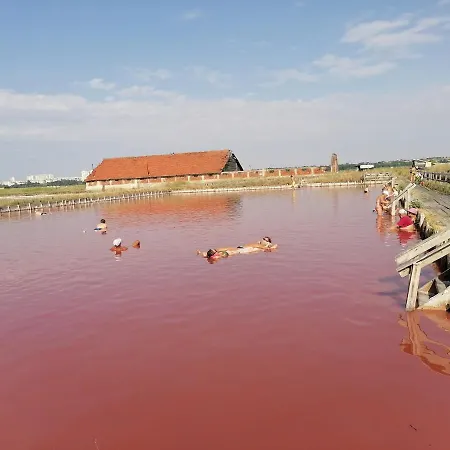 даскала с паркомясто Burgasz