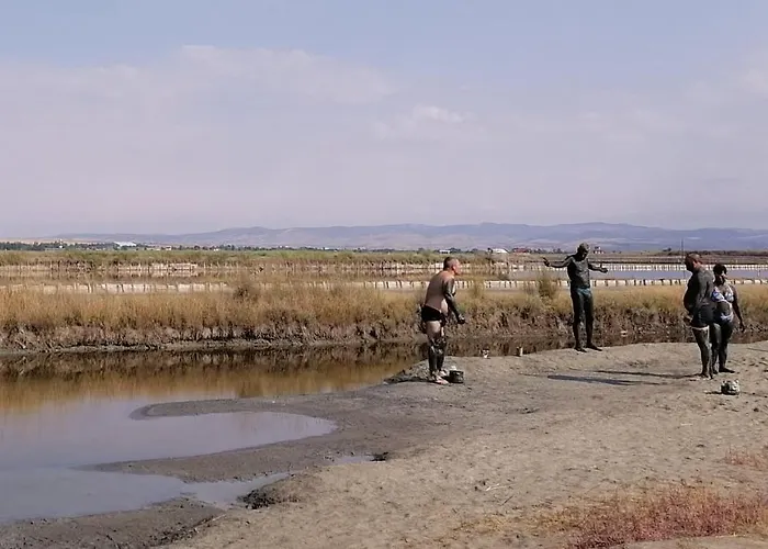 даскала с паркомясто *